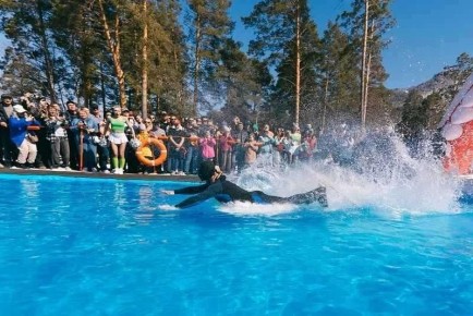 ������� � ���� �� ����������: ��� 200 ����������� � 2000 �������� ��������� ����� � �������