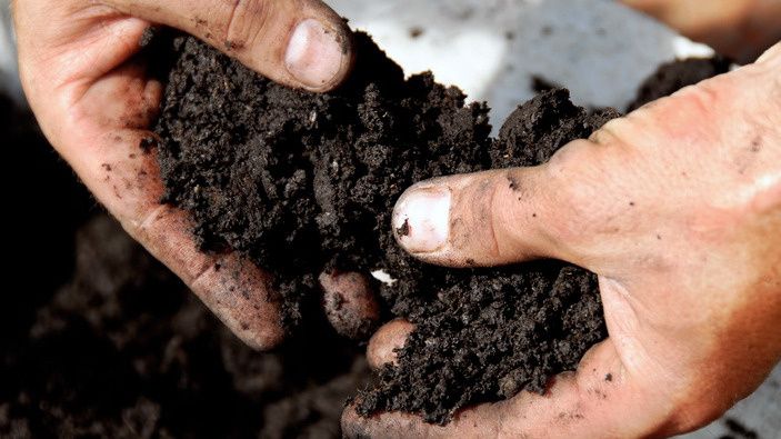 ��� ������������ ���������� ����� ����� �� 30 ����: ����������� ��������� ������