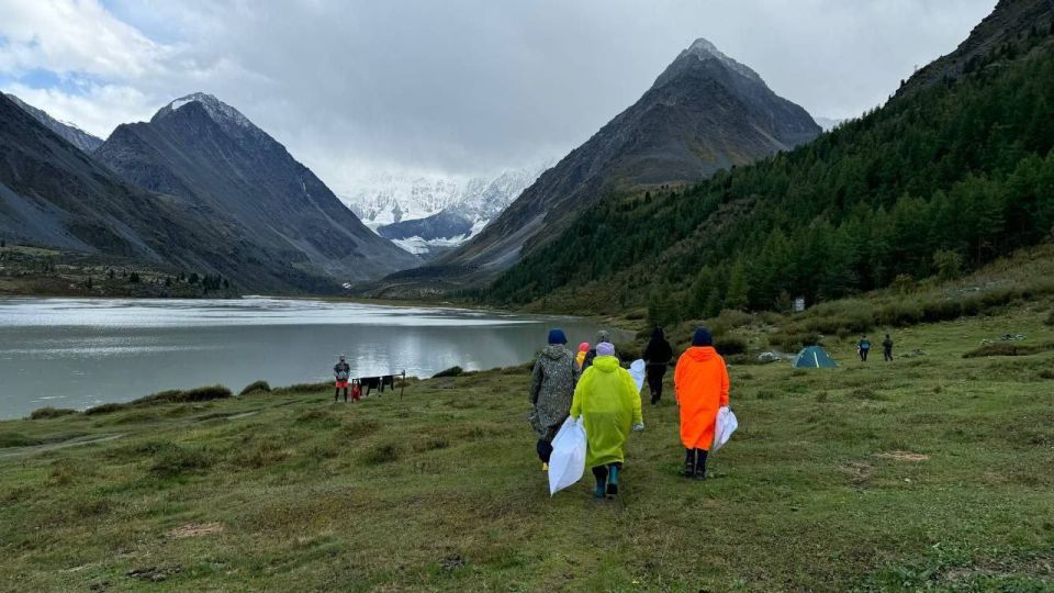 ��������� ���������: ��� ���������� ����� ���������� �������� � ��� ������ ��������������� ������� ������, ����� � ���������