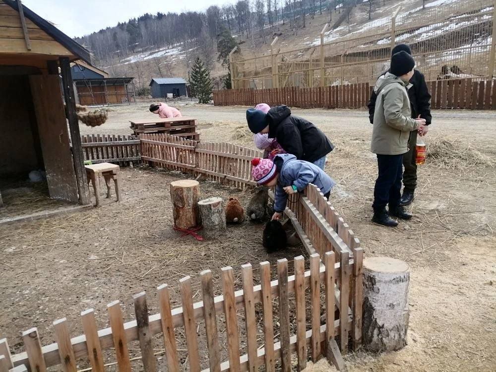 Сотрудники управления соцподдержки Шебалинского района организовали для детей с ОВЗ поездку в зоопарк "Карым" Сотрудники управления соцподдержки Шебалинского района организовали для детей с ОВЗ поездку в зоопарк "Карым"