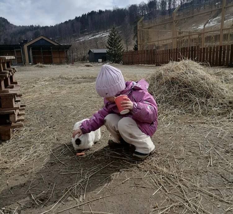 Сотрудники управления соцподдержки Шебалинского района организовали для детей с ОВЗ поездку в зоопарк "Карым" Сотрудники управления соцподдержки Шебалинского района организовали для детей с ОВЗ поездку в зоопарк "Карым"