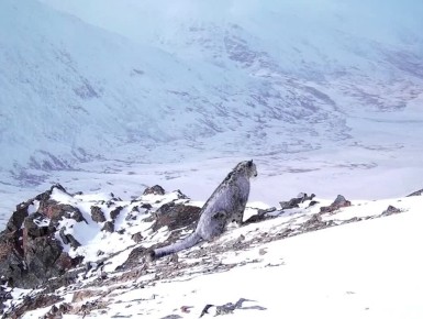 � ������������ ������������ ����� ����� �� ����� ������, �������� ���� ��������� ������ ���� ���