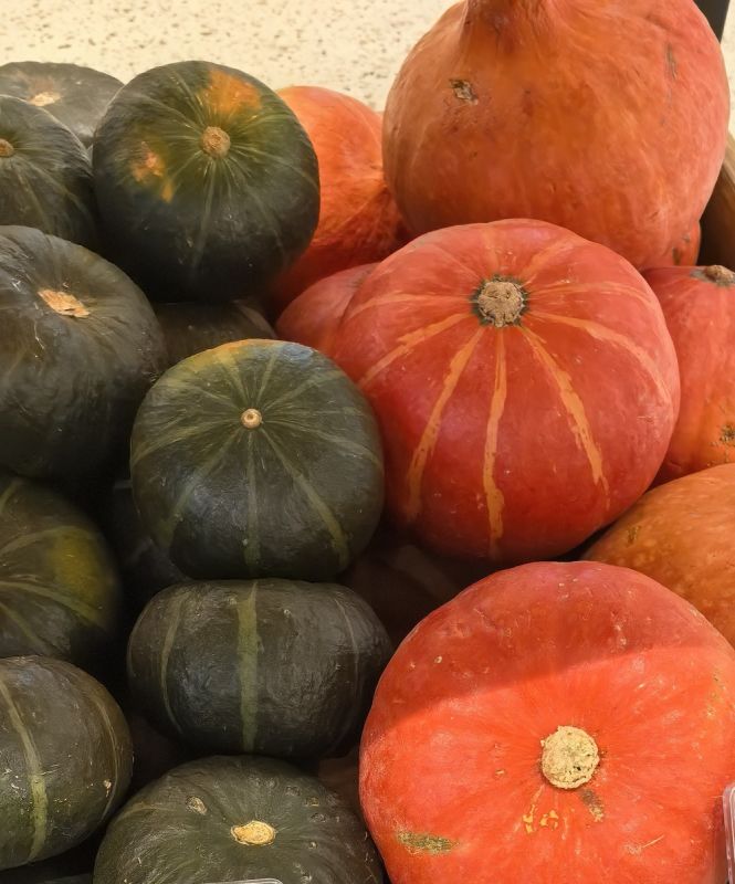 �����: 10 ��������������, ������� �� �� ����� � �������� �����