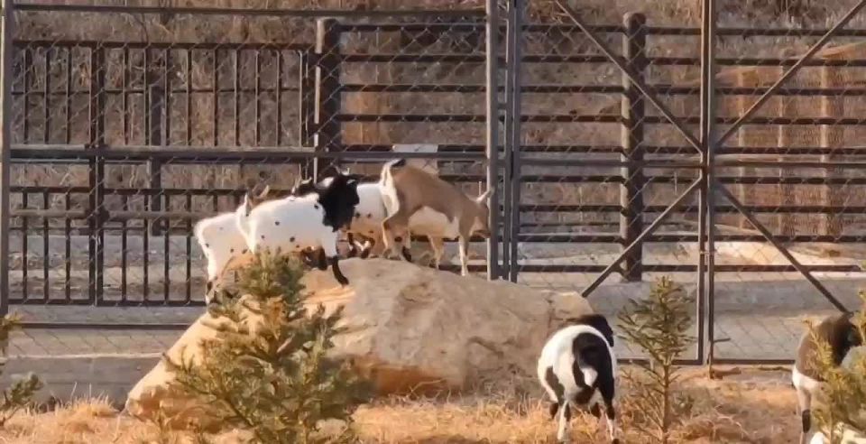 ������� � "������" ������ �����