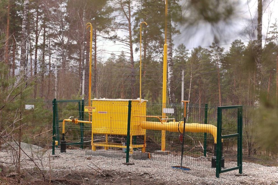 ������ ������: ����� 80 ����� � ���� ������� ����������� ������ ������� ����������� ����������� � ���������� ����