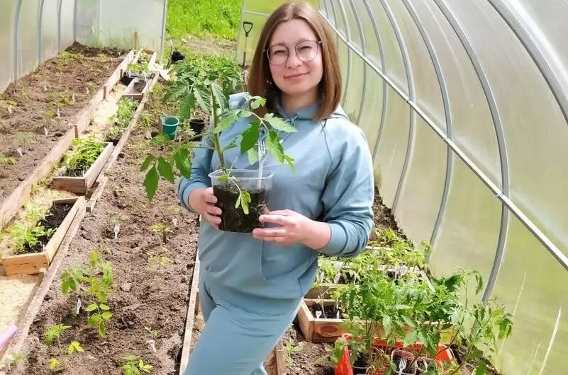 Возрастите урожай: советы по удобрению при высадке томатов