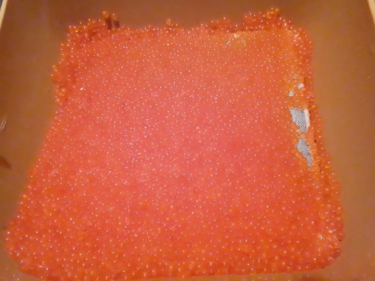 Как премиум-подписки стали источником вдохновения и уюта для читателей