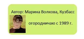 Огурцы без забот: как получить максимальную урожайность с минимальными усилиями