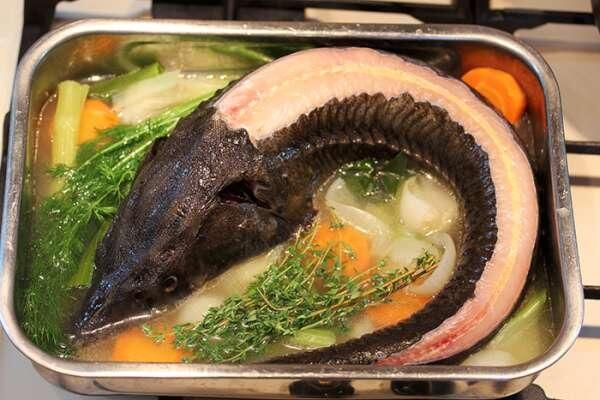 �����������: ������ ��������� �������� ����