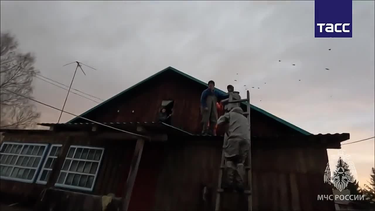 Число подтопленных приусадебных участков в Алтайском крае за сутки выросло со 124 до 157, сообщили в ГУ МЧС по региону