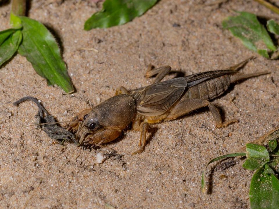 ������� ��������� �������� ��������? ���������, �� �������� �� �������� � ����� ����!