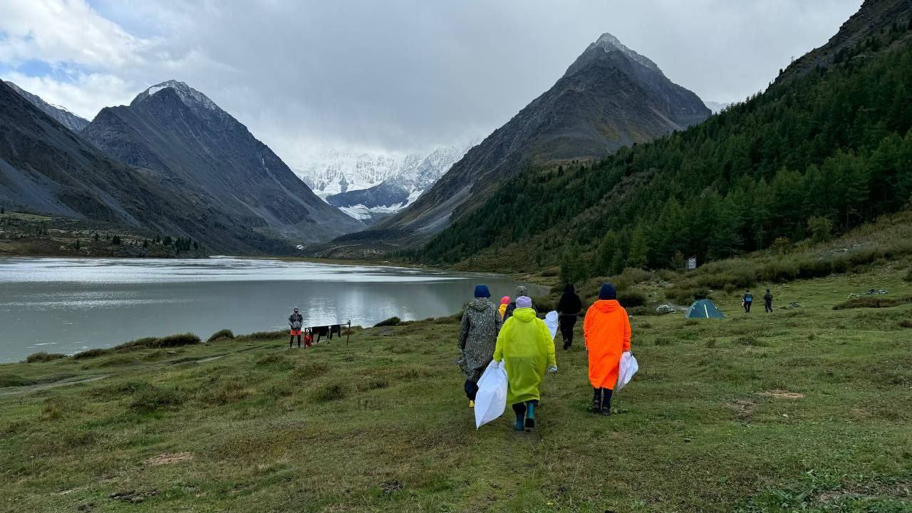 От Телецкого до Белухи: как бизнес и волонтёры спасают природу Горного Алтая От Телецкого до Белухи: как бизнес и волонтёры спасают природу Горного Алтая