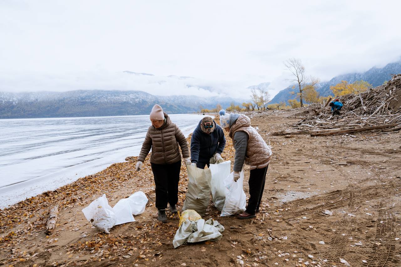 От Телецкого до Белухи: как бизнес и волонтёры спасают природу Горного Алтая