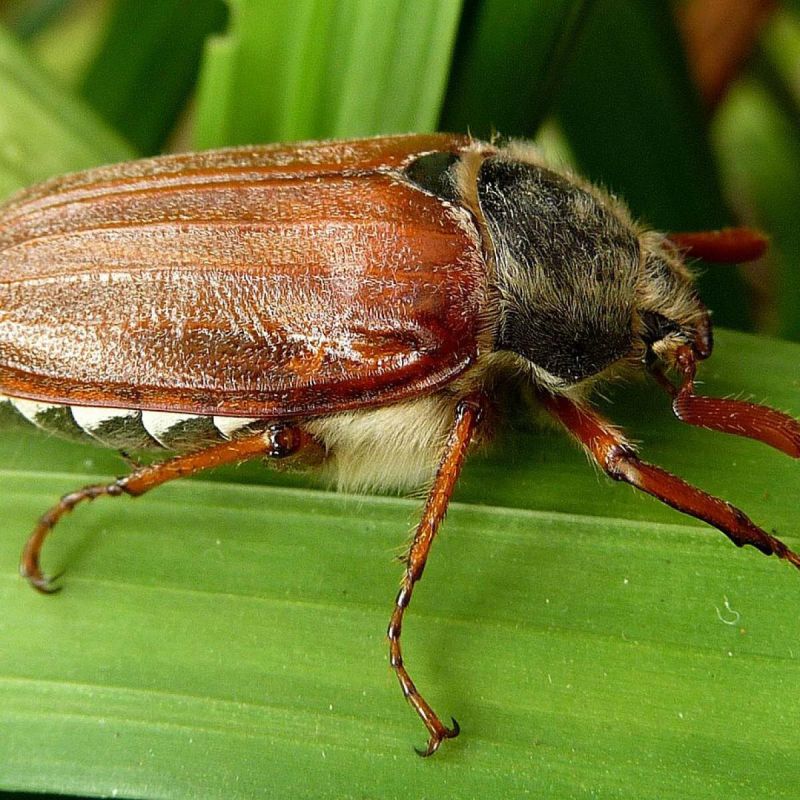 ����������� ������ ������ � ������: �������� ������ � ����������� ����������