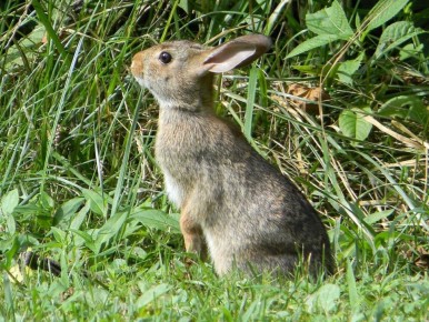 ��� ������� ������ ����������������� ��� ������: ������� ��������� ������