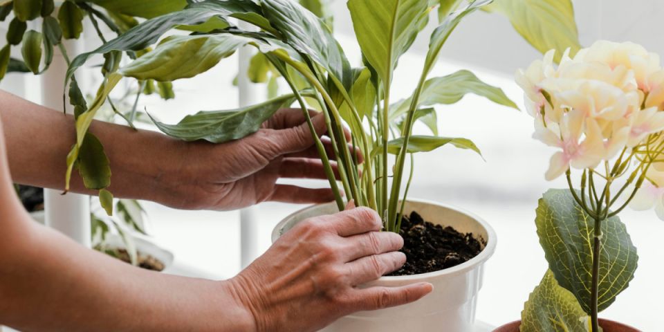 ��� �������� �������� ������� � �� ��������� ������