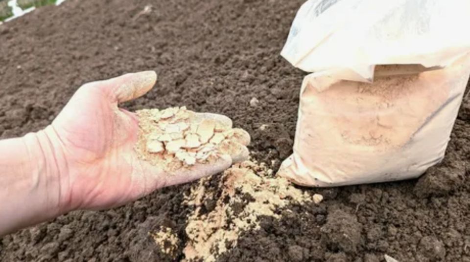 ��� �������� ������� �� ��������� � �������������: ������ �� �����