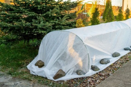 ������ ������ ������ ������� ��������