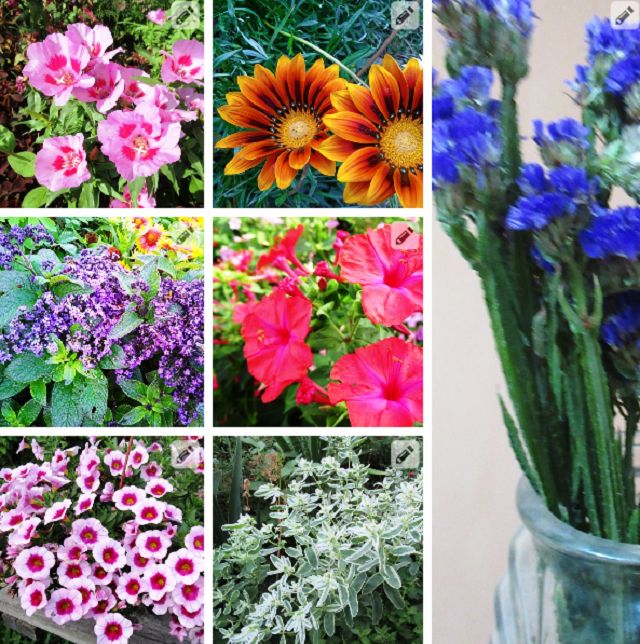 ������� ������ �������: 7 ���������� ������ ��� ������ ����