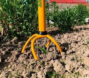 ��� ���������� ������ ���� � ����������� ����������� '�������' ��� ������� �������� �����