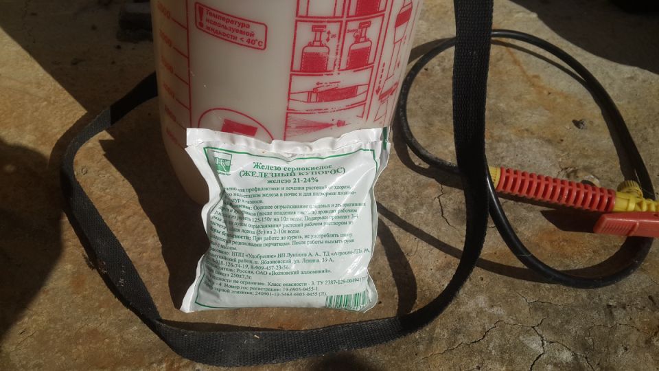 ������ �� �������� ��������� ���� �� �������� � ����������