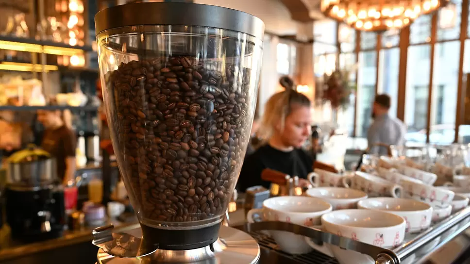 Рынок HoReCa бьет рекорды: вакансии и зарплаты стремительно растут