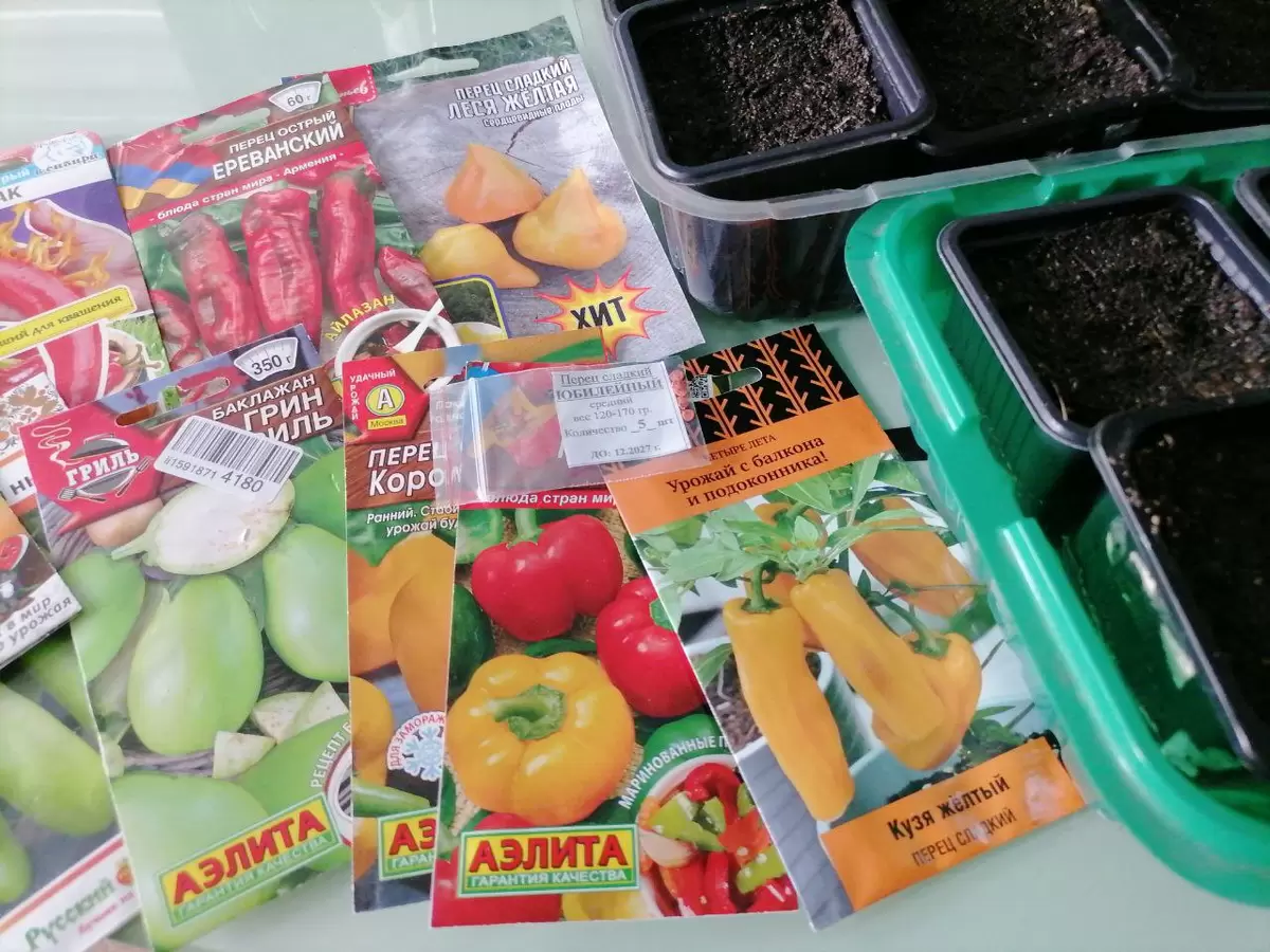 Секреты успешной посадки перцев и баклажанов на рассаду в 2026 году