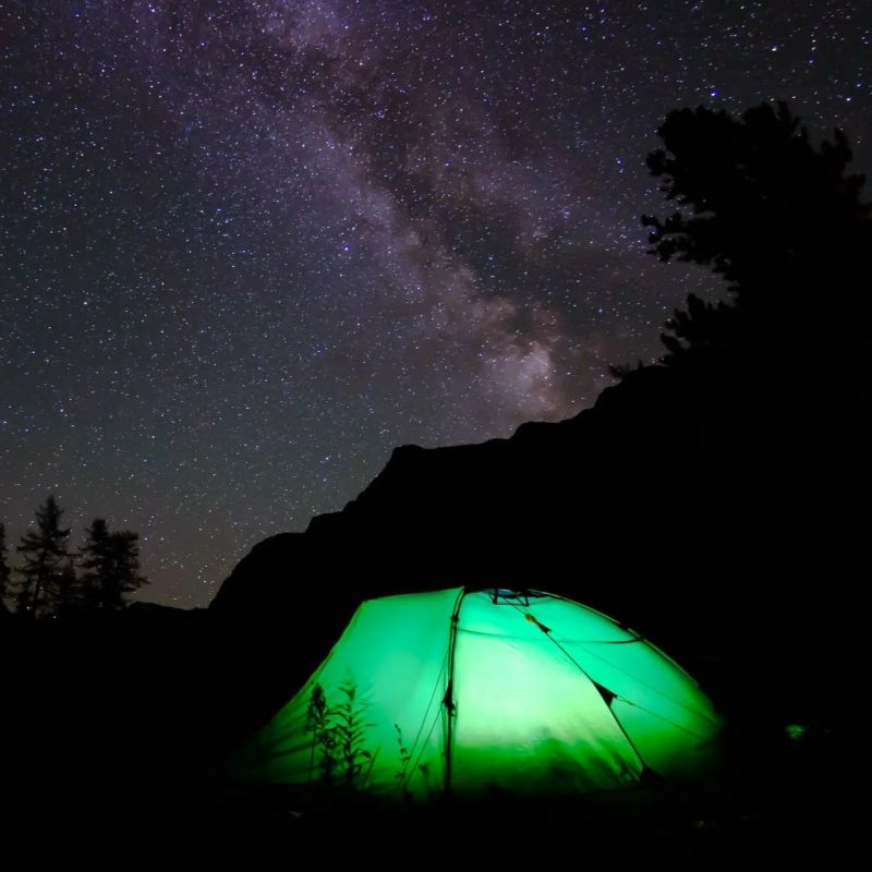 ��� ������ ����� ������ � ��������? ����� ���� � �������� �������������!