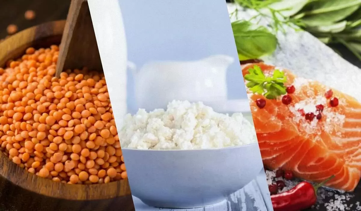 Как выбрать идеальный источник белка для вашего питания