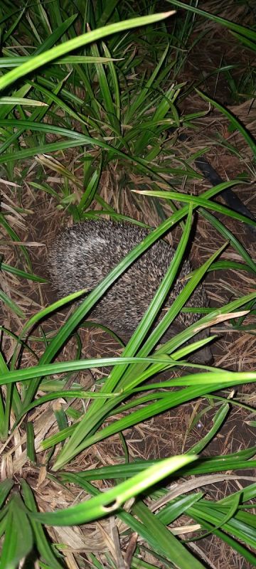 ������� ��-�� ������