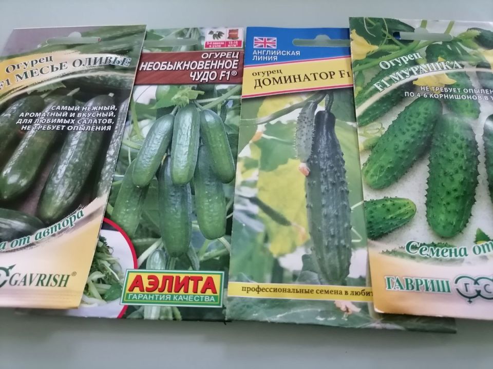 ��� ������� ������� � ������ �������� ���������� � �������� ������