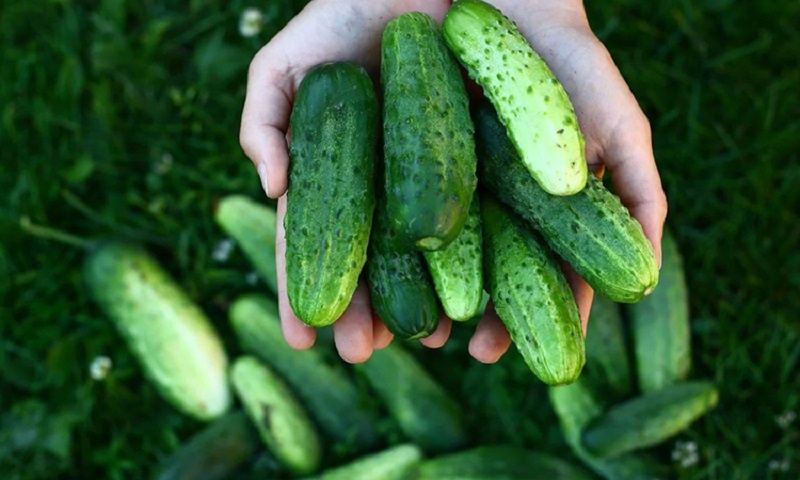 ��� ��������� ������ �� ����: ������� �������� ��������� � ������