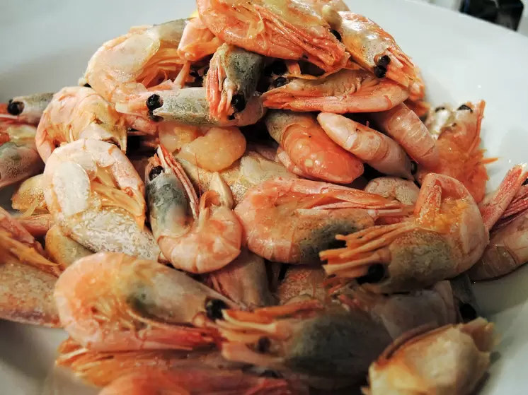 Креветки: морепродукт, который поддержит ваш иммунитет