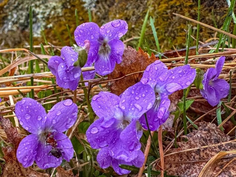 �� ����� ������� ������. ����� ����� ����� ���������� ��������� ������ � ���� �� ����� ������