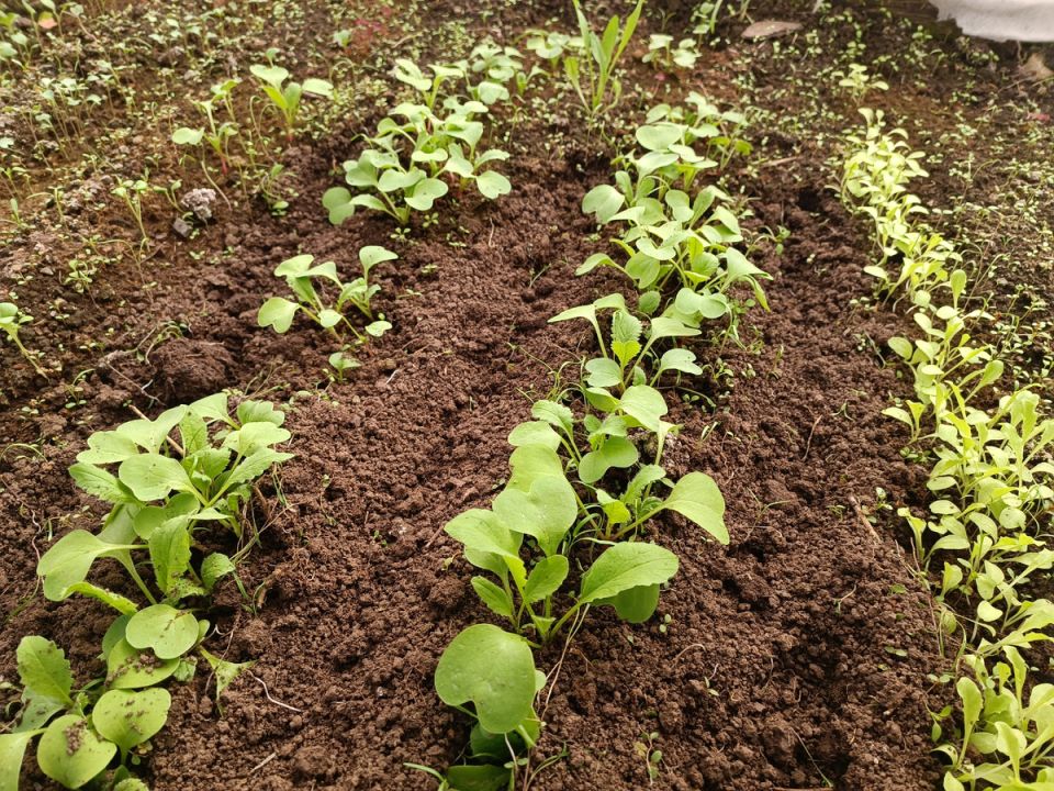 ��� �� ����: ��� ����� ����� �������� � ������ �������� ������