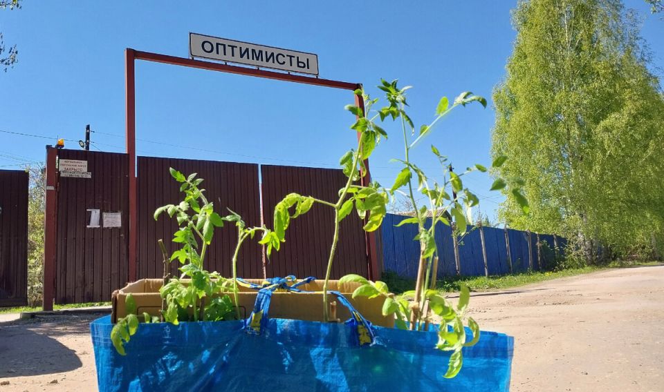 ������� �������: ��� ��������� � ������� ������ �������� �� ��������