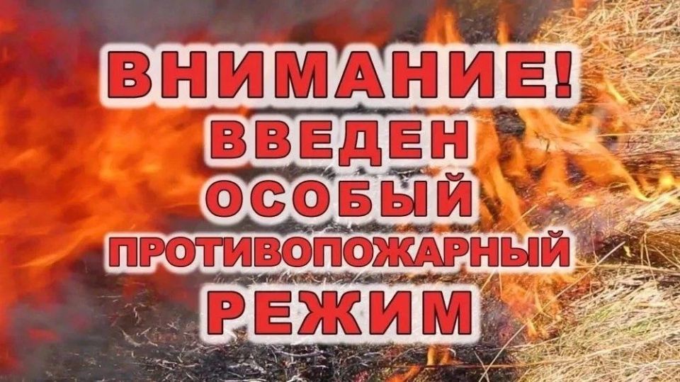 � ���-�������� ������ � ������������ ��� � �� 10 ���� ������ ������ ��������������� �����