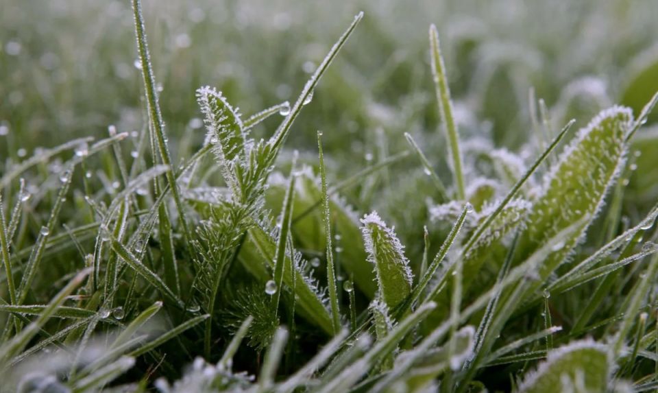 ��� �������� ������� � �������� �� �������� ����������: ������ ��� ���������