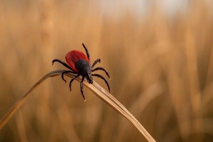 ����� �������: �� ������ � ���������� ����� ��������� 101 �������