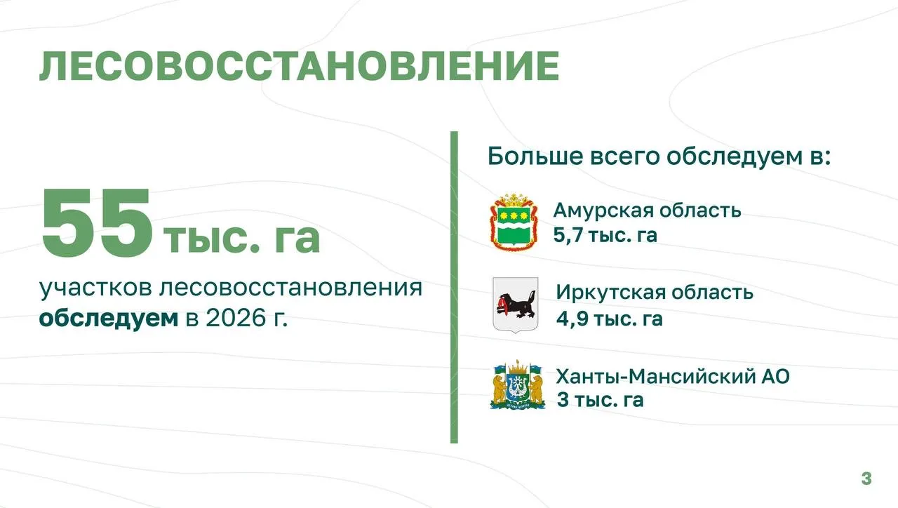 Качество лесовосстановления обсудили в национальном центре «Россия» на Всероссийском совещании по итогам работы лесного хозяйства в 2025 году и основным задачам на 2026 год Качество лесовосстановления обсудили в национальном центре «Россия» на Всероссийском совещании по итогам работы лесного хозяйства в 2025 году и основным задачам на 2026 год