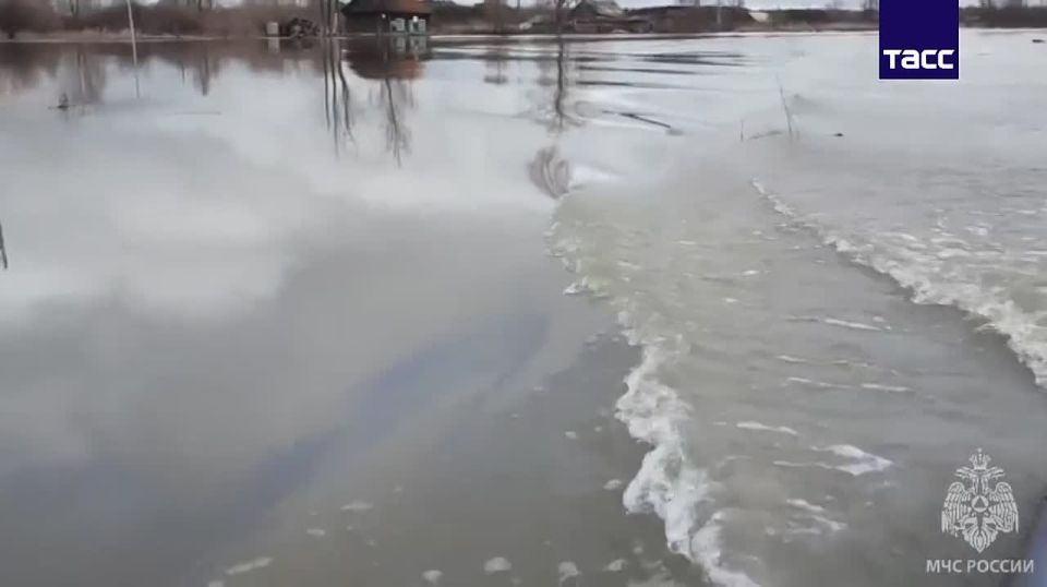 ���������� ������������ ����������� ������ ������������ �������� ����������� � ��������� ���� �� 32 �� 372, ������� ����� � �� 14 �� 156