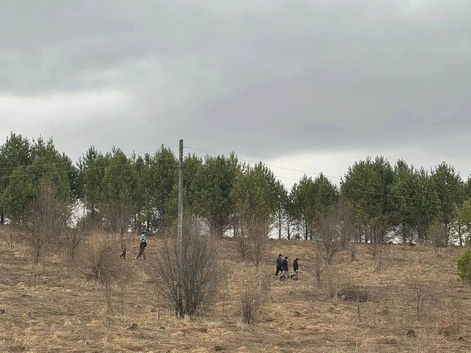 ���������� ������� � �������� ���������� ��������� �����������, ������������ �� ������������ ��������������� ���������� �����-�������� ����� ��������������