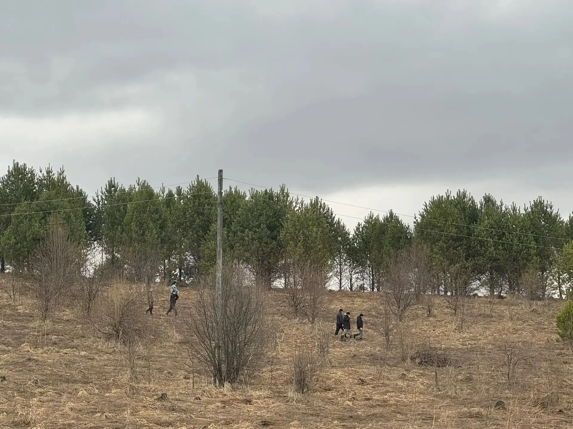 Сотрудники полиции и волонтёры продолжают поисковые мероприятия, направленные на установление местонахождения жительницы Горно-Алтайска Елены Благовещенской