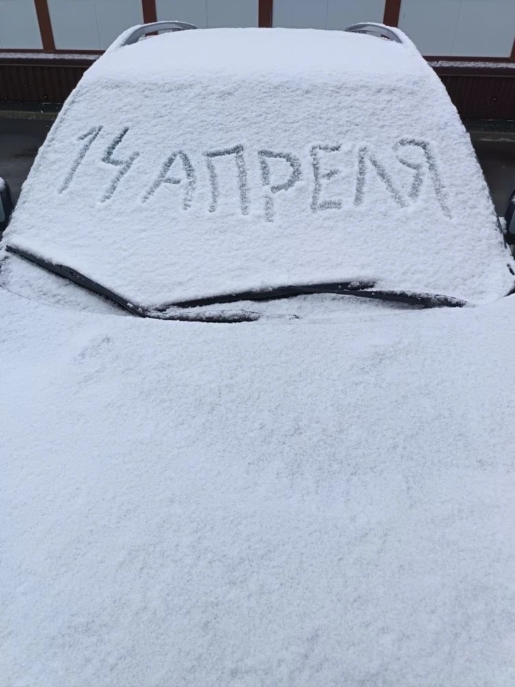 Сегодня у нас так