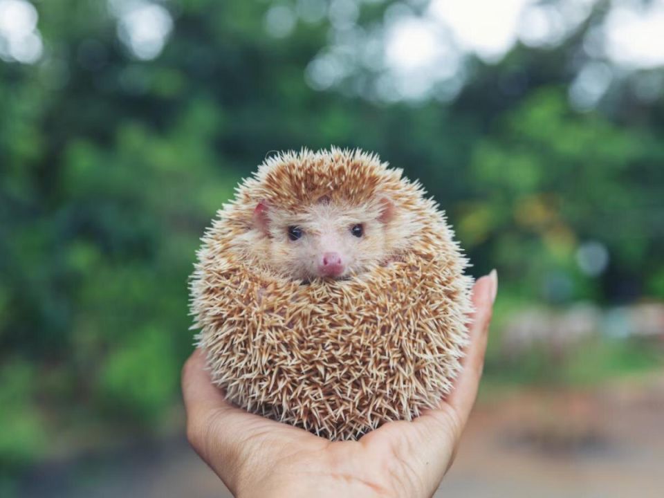 ��� ������� ������� ����� ������ ���� � ����� ����