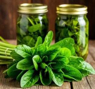 Щавель: ценный зеленый кулинарный союзник