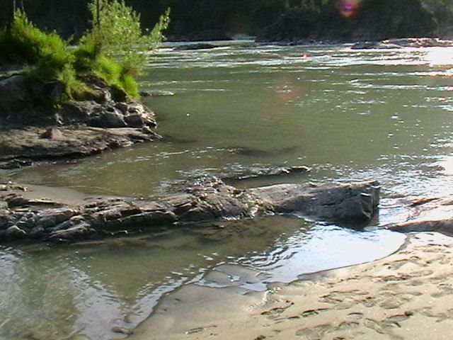 ������������ ��� ����������: 20 �� ����� �� ������ ������ �����������