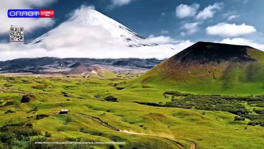 МОЯ РОССИЯ. Озеро Светлое. События, предшествовавшие образованию лебединого заказника в Алтайском крае, относятся к далёкому 1967-му году