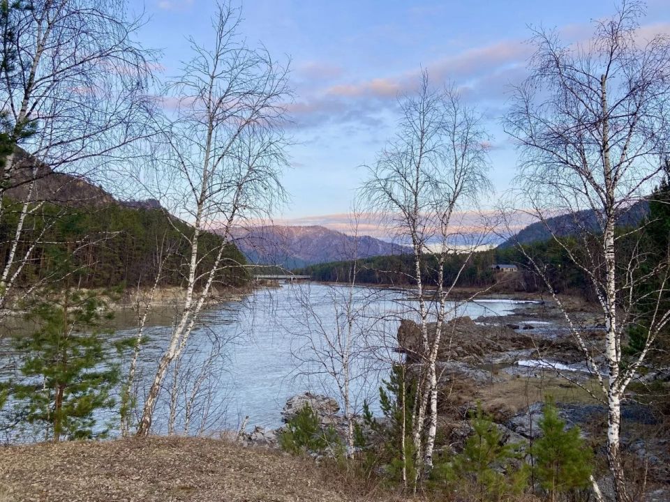 #���������������. * * *