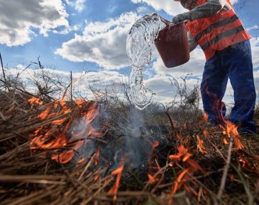 Особый противопожарный режим введен в Республике Алтай